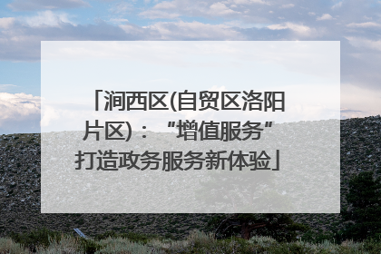涧西区(自贸区洛阳片区)：“增值服务”打造政务服务新体验