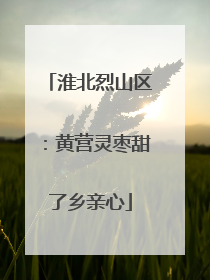 淮北烈山区：黄营灵枣甜了乡亲心