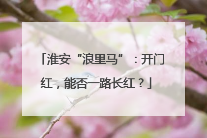 淮安“浪里马”：开门红，能否一路长红？