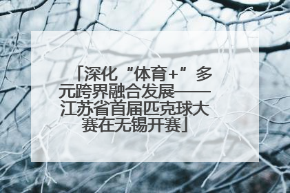 深化“体育+”多元跨界融合发展——江苏省首届匹克球大赛在无锡开赛