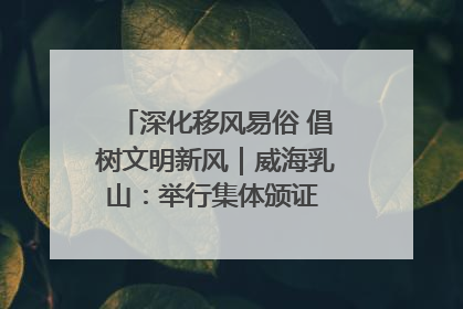 深化移风易俗 倡树文明新风｜威海乳山：举行集体颁证 倡导文明婚俗