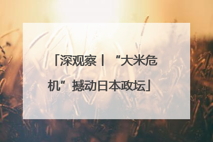 深观察丨“大米危机”撼动日本政坛