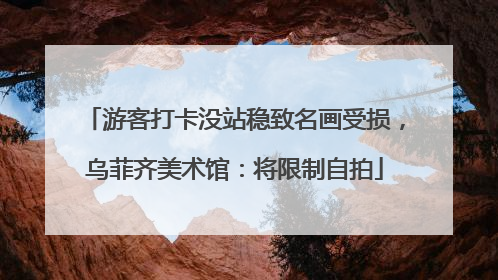 游客打卡没站稳致名画受损，乌菲齐美术馆：将限制自拍