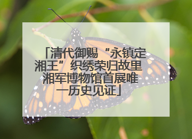 清代御赐“永镇定湘王”织绣荣归故里 湘军博物馆首展唯一历史见证