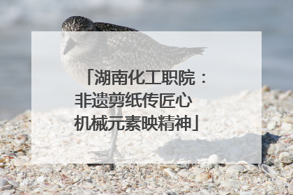 湖南化工职院：非遗剪纸传匠心 机械元素映精神
