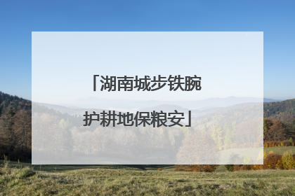 湖南城步铁腕护耕地保粮安