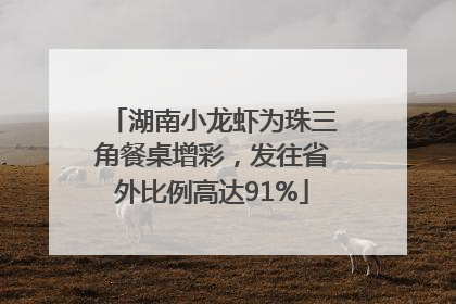 湖南小龙虾为珠三角餐桌增彩，发往省外比例高达91%