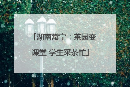 湖南常宁：茶园变课堂 学生采茶忙