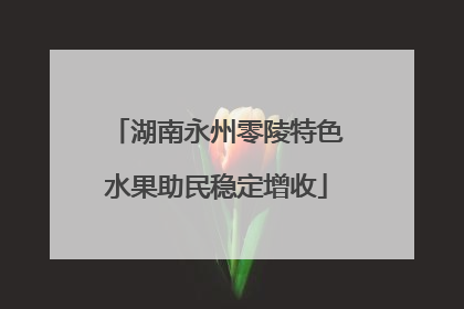 湖南永州零陵特色水果助民稳定增收
