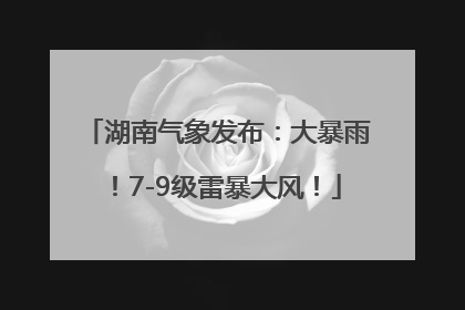 湖南气象发布：大暴雨！7-9级雷暴大风！