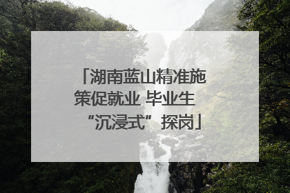 湖南蓝山精准施策促就业 毕业生“沉浸式”探岗