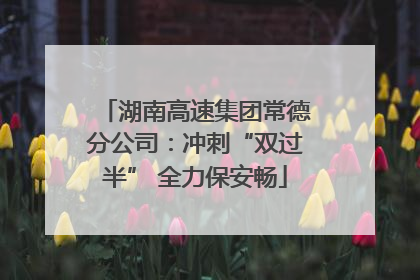 湖南高速集团常德分公司：冲刺“双过半” 全力保安畅