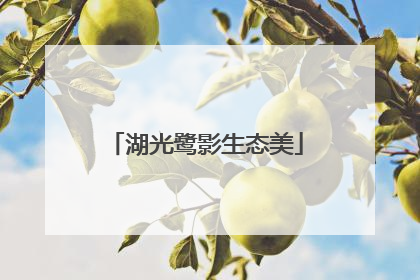 湖光鹭影生态美