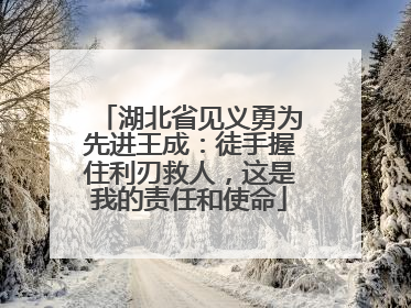 湖北省见义勇为先进王成：徒手握住利刃救人，这是我的责任和使命