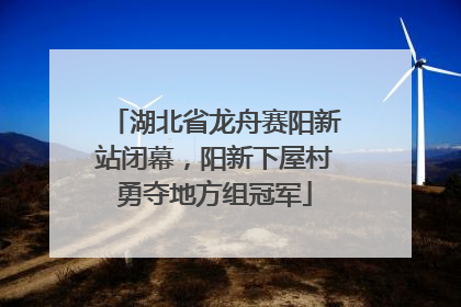 湖北省龙舟赛阳新站闭幕,阳新下屋村勇夺地方组冠军