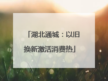 湖北通城：以旧换新激活消费热