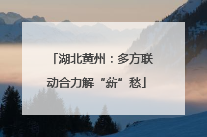 湖北黄州：多方联动合力解“薪”愁