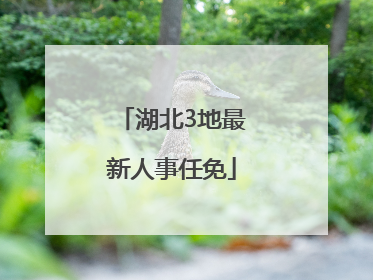 湖北3地最新人事任免