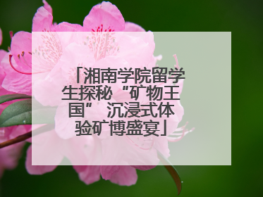 湘南学院留学生探秘“矿物王国” 沉浸式体验矿博盛宴