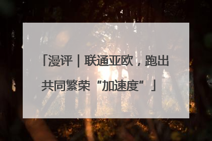 漫评｜联通亚欧，跑出共同繁荣“加速度”