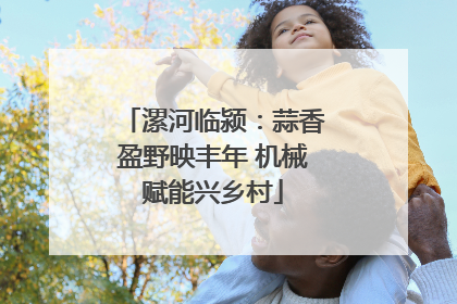 漯河临颍：蒜香盈野映丰年 机械赋能兴乡村