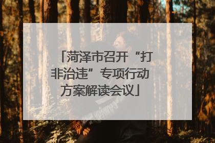 菏泽市召开“打非治违”专项行动方案解读会议