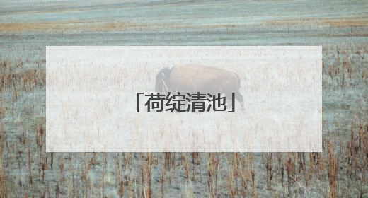 荷绽清池