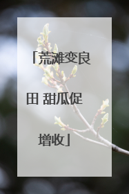 荒滩变良田 甜瓜促增收