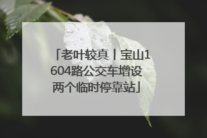 老叶较真丨宝山1604路公交车增设两个临时停靠站