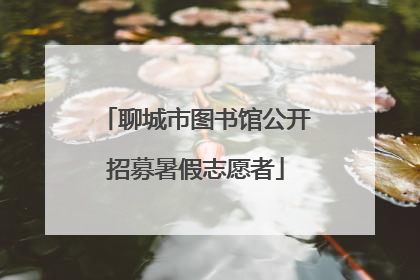 聊城市图书馆公开招募暑假志愿者