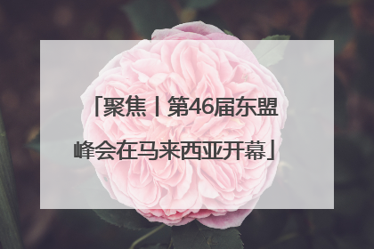 聚焦丨第46届东盟峰会在马来西亚开幕