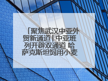 聚焦武汉中亚外贸新通道│中亚班列开辟双通道 哈萨克斯坦饲用小麦将抵鄂