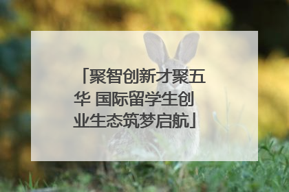 聚智创新才聚五华 国际留学生创业生态筑梦启航