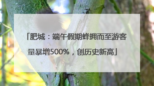 肥城：端午假期蜂拥而至游客量暴增500%，创历史新高