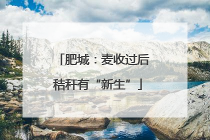 肥城：麦收过后秸秆有“新生”