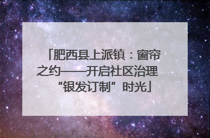 肥西县上派镇：窗帘之约——开启社区治理“银发订制”时光