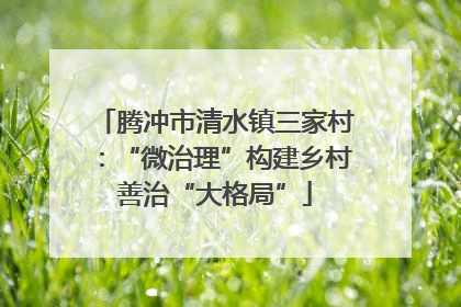 腾冲市清水镇三家村：“微治理”构建乡村善治“大格局”