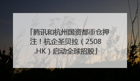 腾讯和杭州国资都重仓押注！杭企圣贝拉（2508.HK）启动全球招股