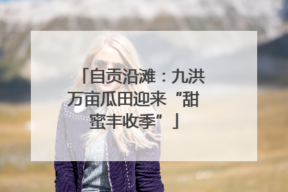 自贡沿滩：九洪万亩瓜田迎来“甜蜜丰收季”