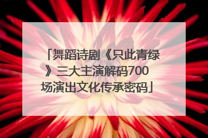 舞蹈诗剧《只此青绿》三大主演解码700场演出文化传承密码