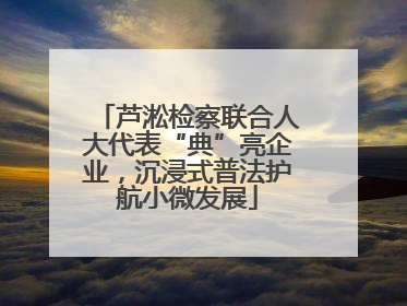芦淞检察联合人大代表“典”亮企业，沉浸式普法护航小微发展