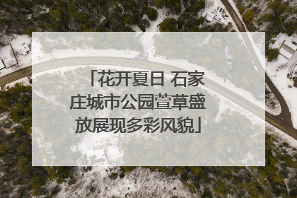 花开夏日 石家庄城市公园萱草盛放展现多彩风貌