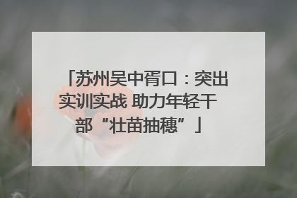 苏州吴中胥口：突出实训实战 助力年轻干部“壮苗抽穗”