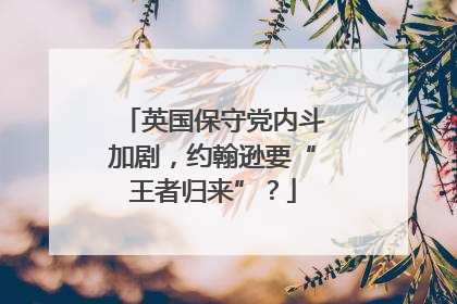 英国保守党内斗加剧，约翰逊要“王者归来”？