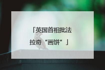 英国首相批法拉奇“画饼”