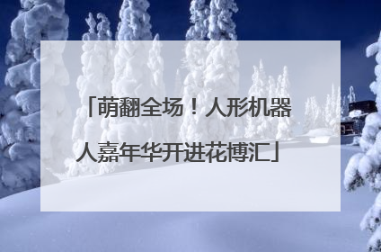 萌翻全场！人形机器人嘉年华开进花博汇