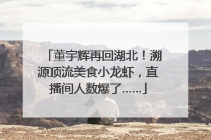 董宇辉再回湖北！溯源顶流美食小龙虾，直播间人数爆了……