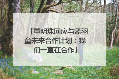 董明珠回应与孟羽童未来合作计划：我们一直在合作