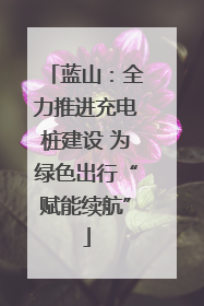 蓝山：全力推进充电桩建设 为绿色出行“赋能续航”