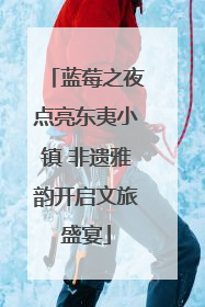 蓝莓之夜点亮东夷小镇 非遗雅韵开启文旅盛宴